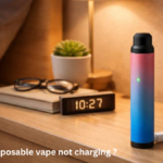rechargeable disposable vape not charging